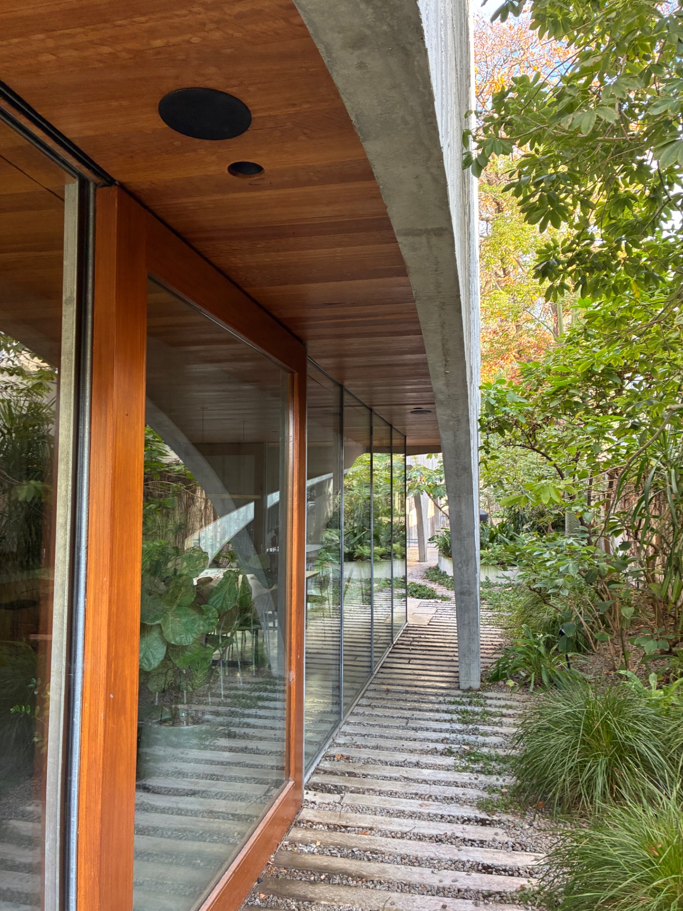 Floor-to-ceiling glazing cleaned along the garden side in Hawthorn House in Hawthorn East, Victoria — Bluewater Pressure Washing