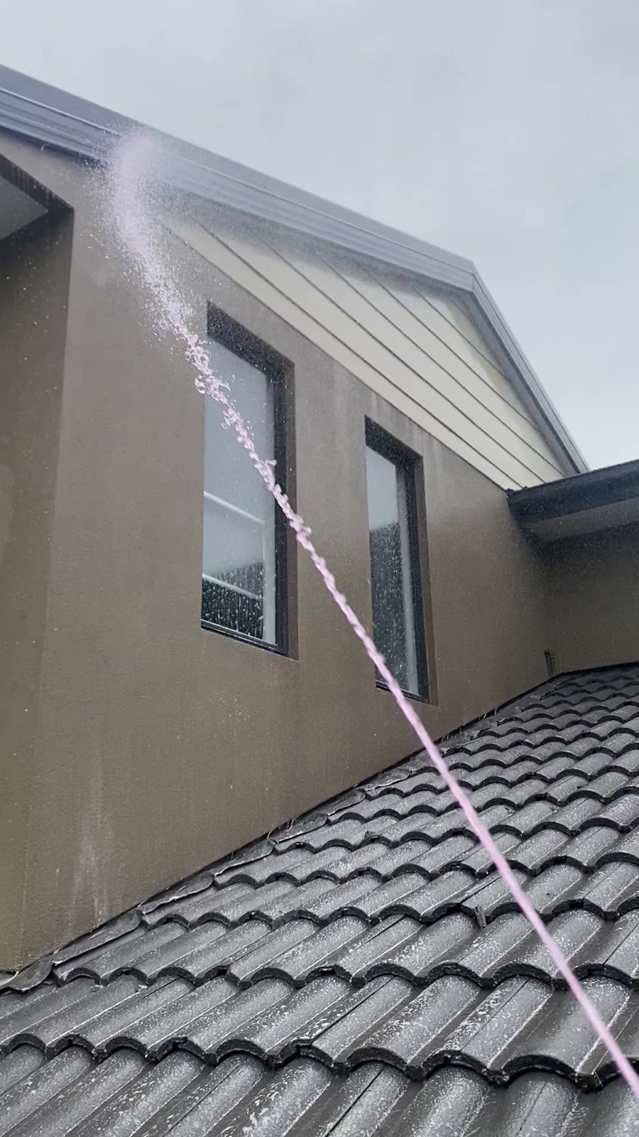 Tiled roof part-way through a professional clean